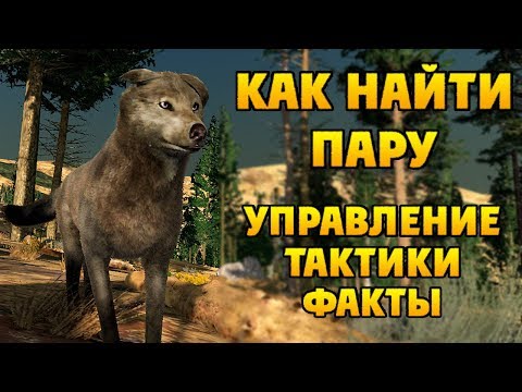 Видео: ГАЙД ПО ИГРЕ | WolfQuest: Anniversary Edition