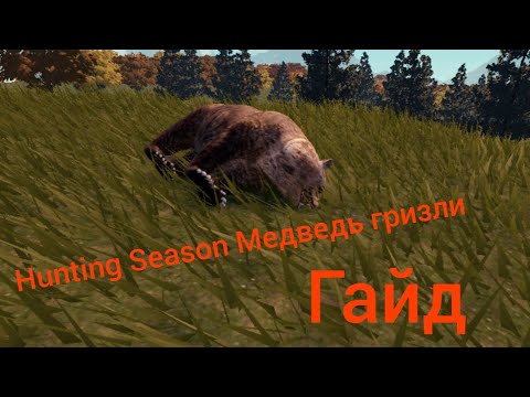 Видео: Hunting Season(Roblox)Гайд медведь гризли