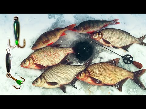 Видео: ЭКСКЛЮЗИВНЫЕ БЕЗНАСАДКИ !!! Восторг после первой же рыбалки !!!