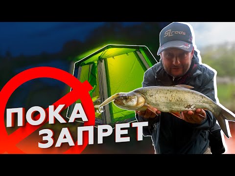 Видео: ЖИВУ в ПАЛАТКЕ, ЛОВЛЮ РЫБУ! Открытие сезона. Рыбалка с берега. Щука, жерех, голавль.  Иван Кашицин.