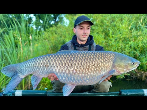 Видео: ОЦЕ РИБАЛКА, Я РОЗУМІЮ! Почався Кльов і його НЕ ЗУПИНИТЬ. Рибалка на озері Підкова