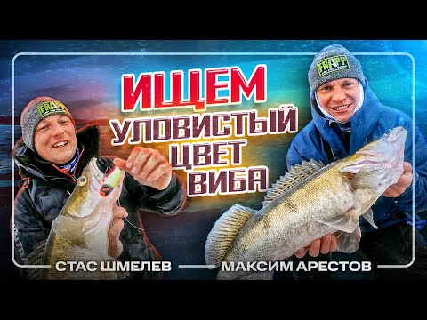 Видео: Только лучшие цвета, которые действительно ловят рыбу! Советы матерых судачатников.