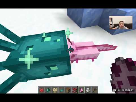 Видео: Игра на новом снапшоте 1.17. Секреты MINECRAFT от Boris BadRock.