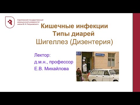 Видео: Кишечные инфекции. Типы диарей. Шигеллез (Дизентерия)