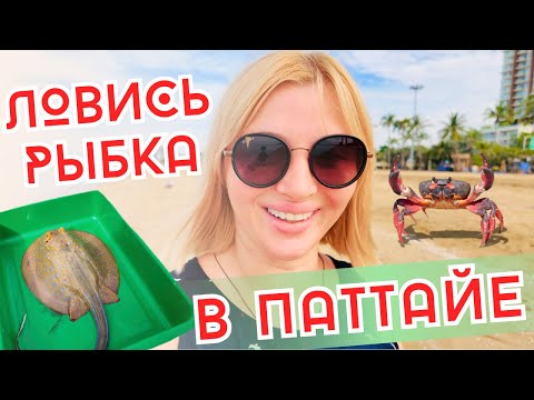 Видео: Утренняя прогулка по южному Джомтьену. Улов рыбаков на пляже. Цены на краба, аренду лежаков и сапов.