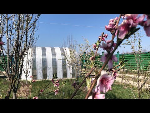 Видео: Обогрев теплицы за счёт подземного тепла 💥