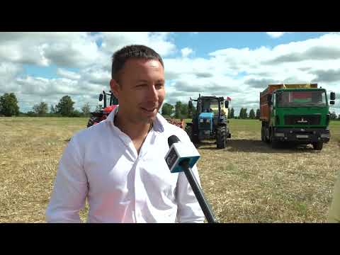 Видео: На счету хлеборовов Пинщины – 100 тысяч тон зерна!