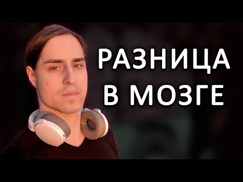 Видео: Нейробиолог про различия между умными и глупыми людьми