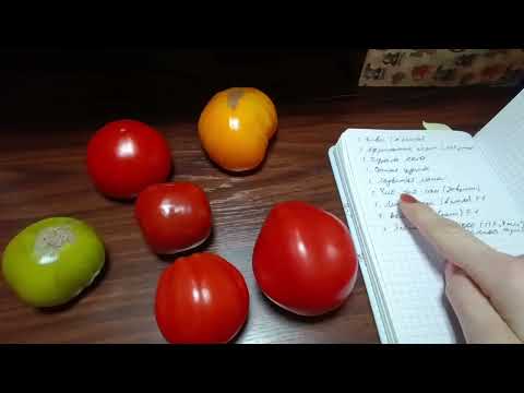 Видео: Итоги томатного сезона. Удачные и неудачные сорта.