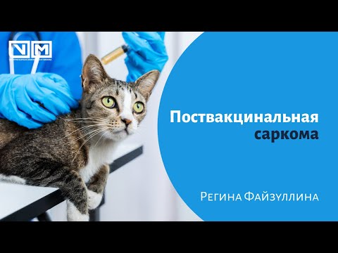 Видео: Поствакцинальная саркома