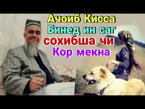 Видео: Домулло Абдурахим Ачоиб Кисса Бинед ин САГ Сохибша Чи мекна 2021