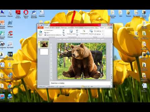 Видео: Создание игры "Чья тень" в Power Point