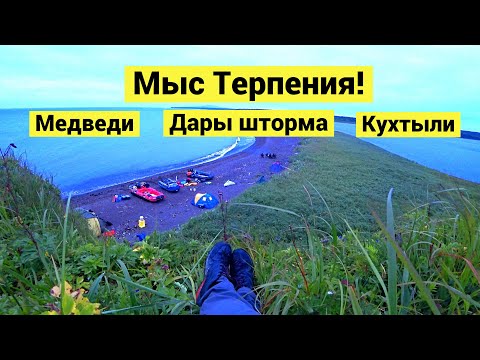 Видео: Гоняем медведей, ищем кухтыли и собираем дары шторма на мысе Терпения!