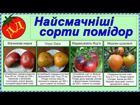 Видео: Найсмачніші сорти помідор (низькорослі)