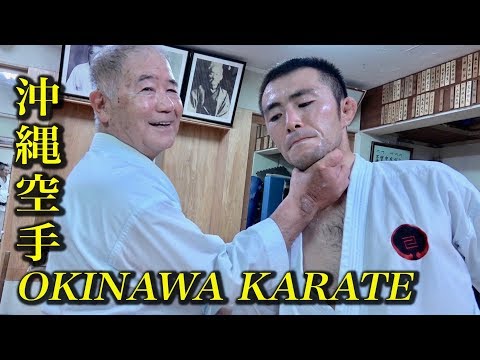 Видео: Палец - это оружие «Окинавского каратэ»! Morio Higaonna sensei 指も手も武器化して急所を攻める空手！東恩納盛男先生