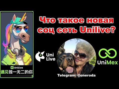 Видео: Что такое новая соц сеть #Unilive ?