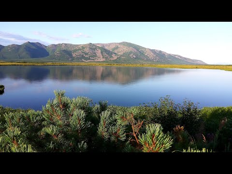 Видео: РЫБА ИДЁТ НА НЕРЕСТ! НА ОЗЁРАХ ПОБЕРЕЖЬЯ ОХОТСКОГО МОРЯ.МАГАДАНСКАЯ ОБЛАСТЬ