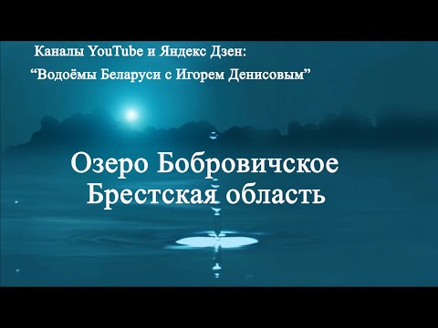 Видео: Озеро Бобровичское   Брестская область