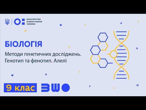 Видео: 9 клас. Біологія. Методи генетичних досліджень. Генотип та фенотип. Алелі