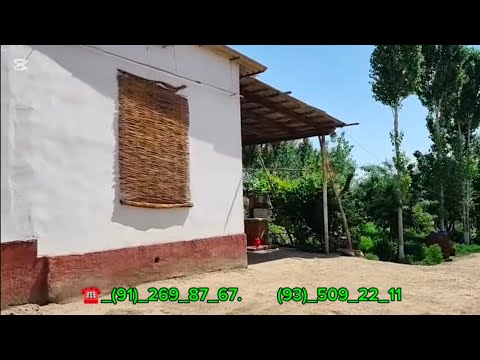 Видео: ШЫМБАЙДА ЗОР ЖАЙ САТЫЛАДЫ БАХАСЫ КЕЛИСИМЛИ#ШЫМБАЙ