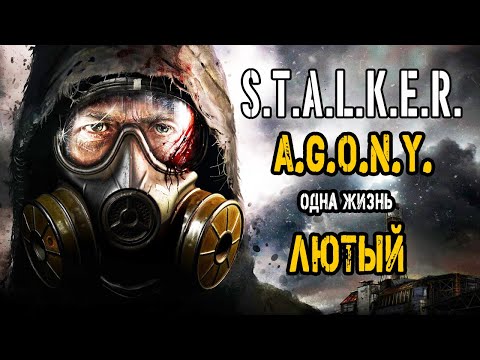 Видео: ХАРДКОР В A.G.O.N.Y. Жизнь ЛЮТОГО. S.T.A.L.K.E.R.