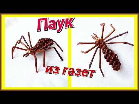 Видео: Паучок из газетных трубочек! Подробный мастер-класс!