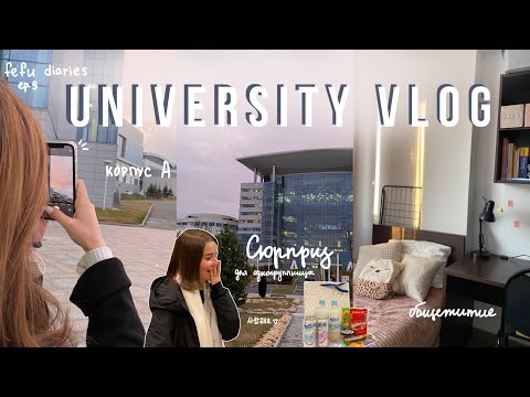 Видео: University vlog / обычный выходной день / ДВФУ (ep.9)