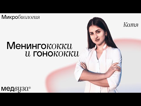 Видео: Менингококки и гонококки | Микробиология | Медвуза