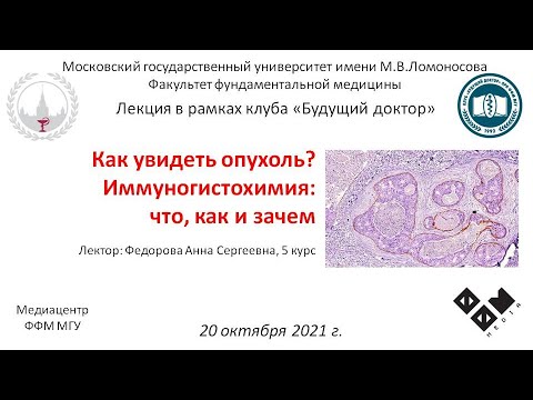 Видео: А.С. Федорова - Как увидеть опухоль? Иммуногистохимия: что, как и зачем