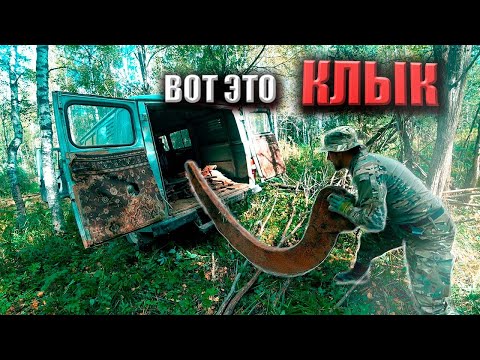 Видео: ТАКОЕ БЫВАЕТ РАЗ В ЖИЗНИ! ТОННЫ МЕТАЛЛОЛОМА НА ЛЕСНЫХ МАСТЕРСКИХ | МЫ ЕЛЕ УВЕЗЛИ СТОЛЬКО, ОСТАВИЛИ..