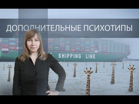 Видео: ДОПОЛНИТЕЛЬНЫЕ ПСИХОТИПЫ. Конфликтология 32