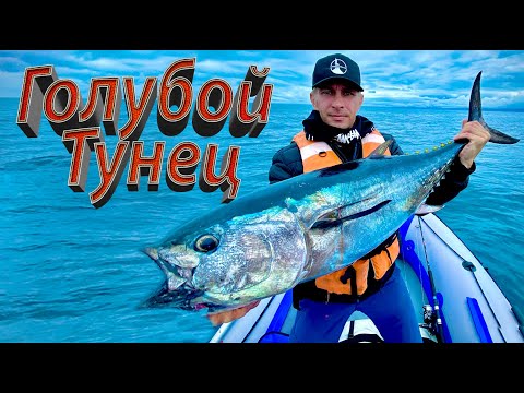 Видео: Вот это мы хапнули адреналина 😲 | Лучшая рыбалка сезона 🔥🤘