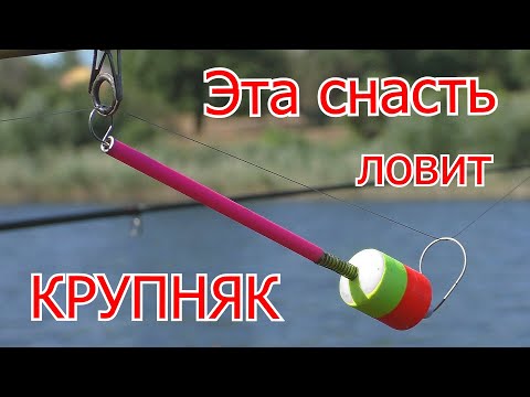 Видео: Рыбалка на комбинированную снасть. Карп и огромные караси на флэт с макушатником. My fishing