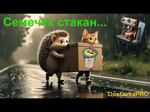 Видео: Без кэфов тяжко работать