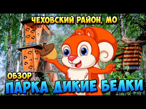Видео: Обзор Парка приключений "Дикие белки"