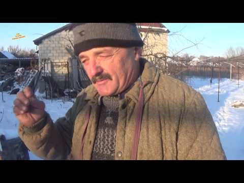 Видео: МОЙ СПОСОБ ХРАНЕНИЯ САЖЕНЦЕВ ВИНОГРАДА ЗИМОЙ. ПРОВЕРЕНО И НАДЁЖНО!