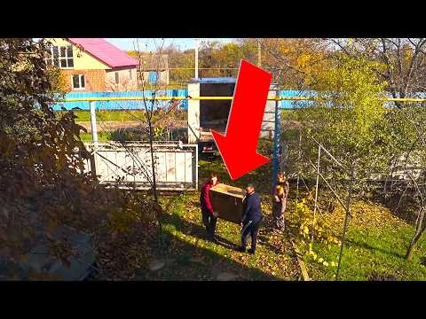 Видео: КУПИЛИ ТО, ЧТО ВСЕ СОВЕТОВАЛИ. УЖЕ ГОТОВИМСЯ К НОВОМУ ГОДУ. ИЗ ГОРОДА В ДЕРЕВНЮ 868 серия