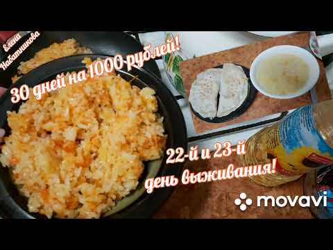 Видео: 30 дней на 1000 рублей! 22~й и 23~й день! Остатки сладки!