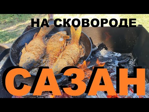 Видео: САЗАН С ЛАДОШКУ ЖАРЕНЫЙ НА ДРОВЯНОЙ СКОВОРОДКЕ. РЫБАЛКА НА КУБАНИ. РЕЦЕПТЫ СЮФ