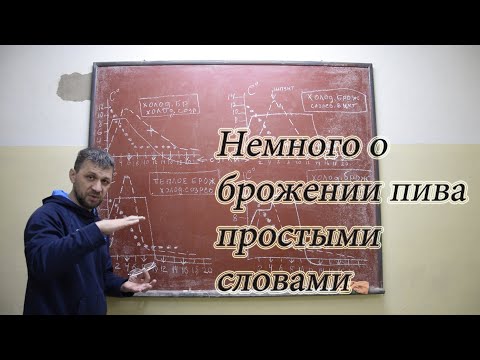 Видео: Немного о правильном брожении пива простыми словами.