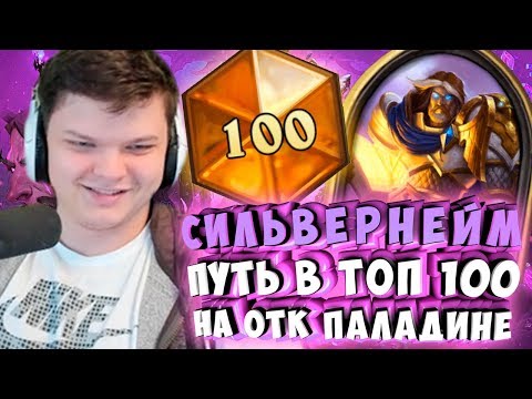 Видео: СИЛЬВЕРНЕЙМ: ПУТЬ В ТОП 100 НА ОТК ПАЛАДИНЕ