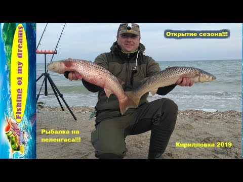 Видео: Отличная рыбалка на пеленгаса!!!Открытие сезона!!!Апрель 2019!!!