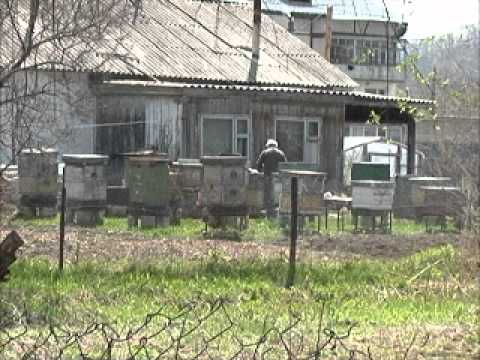 Видео: Едем по Приморью - Барабаш.wmv