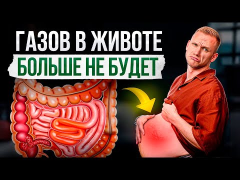 Видео: Забудьте про ВЗДУТИЕ ЖИВОТА навсегда! Научно доказано