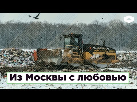 Видео: Из Москвы с любовью: как столичный мусор отравит поморскую тайгу