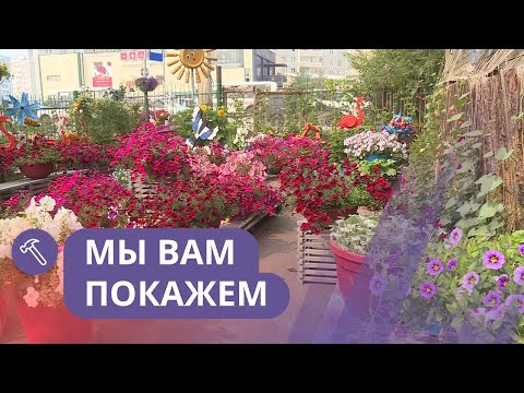 Видео: Мы вам покажем: Цветочный сад в центре города