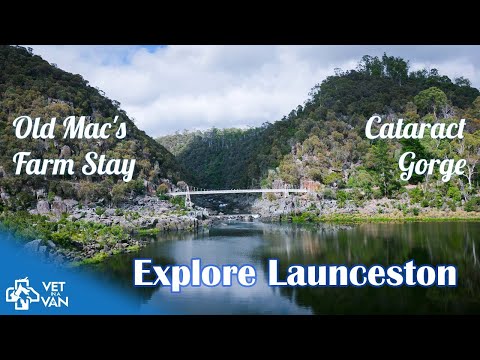 Видео: Наша неделя в Лонсестоне, Тасмания: Олд Макс, ущелье Катаракт, музей королевы Виктории и городско...