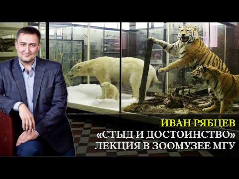 Видео: Как избавиться от стыда? Стыд и достоинство. Психолог Рябцев Иван.