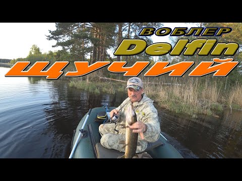 Видео: Безотказен по щуке - воблер Delfin!