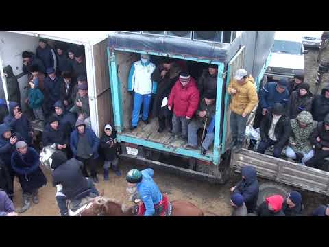 Видео: Кокпар Мехлиевтер отбасы чсать 2